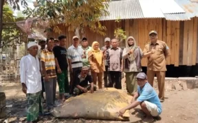 Petani di Desa Kropak, Bantaran, probolinggo sukses mengolah limbah kotoran ternak dan eceng gondok menjadi pupuk organik