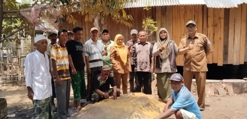 Petani di Desa Kropak, Bantaran, probolinggo sukses mengolah limbah kotoran ternak dan eceng gondok menjadi pupuk organik