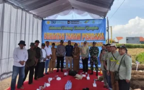 Dukung Program Swasembada Gula Nasional, Pemkab Probolinggo gelar kegiatan tanam perdana tebu bongkar ratoon