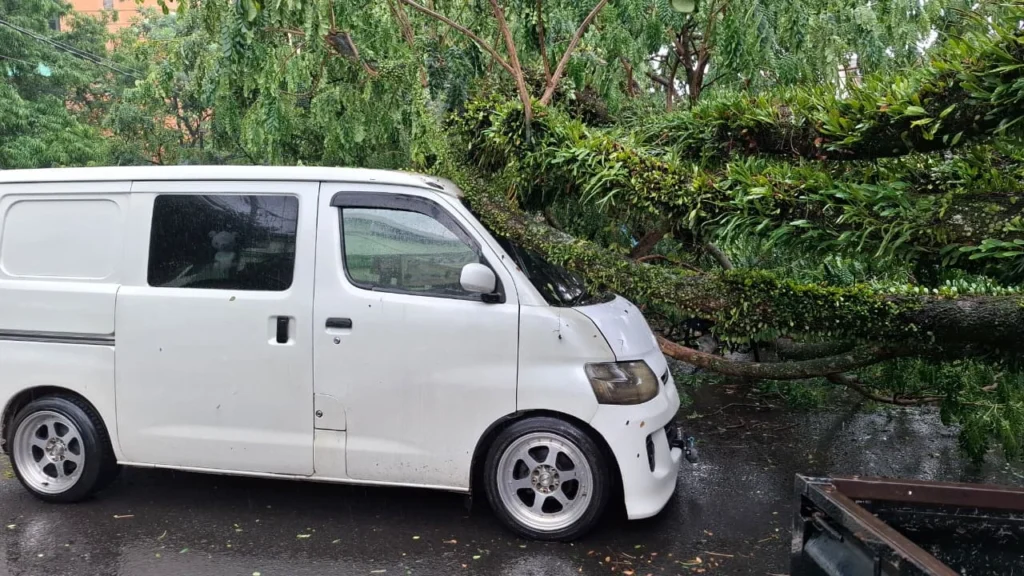 Hujan hebat dan angin kencang mengguyur Kota Malang pada Jumat siang (24/10/2025) dan menyebabkan satu pohon tumbang di kawasan Jalan Prof. Moch. Yamin, Kelurahan Sukoharjo, Kecamatan Klojen