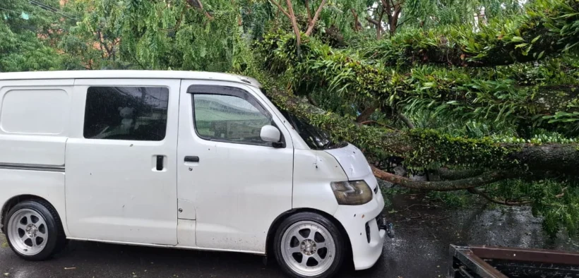 Hujan hebat dan angin kencang mengguyur Kota Malang pada Jumat siang (24/10/2025) dan menyebabkan satu pohon tumbang di kawasan Jalan Prof. Moch. Yamin, Kelurahan Sukoharjo, Kecamatan Klojen