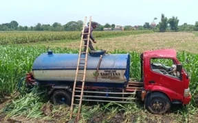 Truk Tangki Pupuk Cair Terguling di Sumberasih Probolinggo, Sopir Tewas di Lokasi