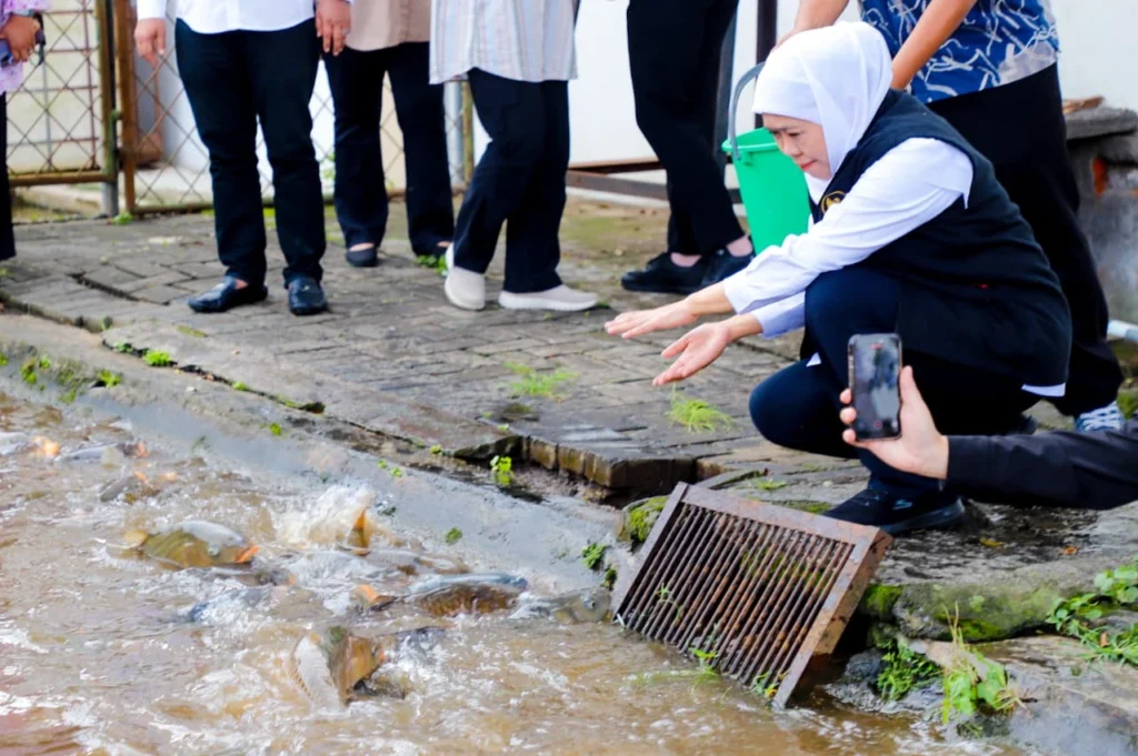 Gubernur Khofifah Tinjau Budidaya Ikan Mas Punten di Kota Batu