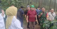 Konsep Agrowisata dinilai mampu menjadi pendorong utama ekonomi di kabupaten malang, salah satu contohnya adalah Kopi Tumpang