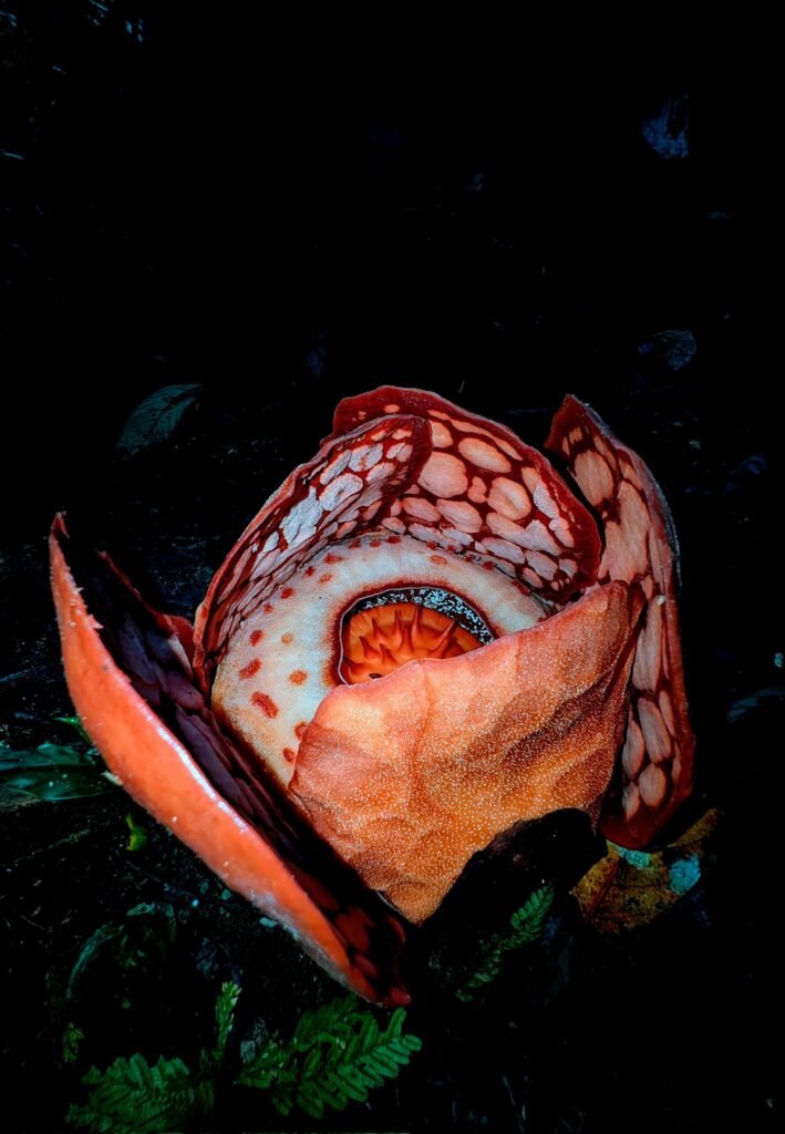 Chris Thorogood/Chris Thorogood