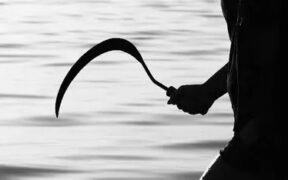 Sebuah rekaman video CCTV berdurasi hampir enam menit menjadi viral, Memperlihatkan Gengster di Kedungasem, Kota Probolinggo.