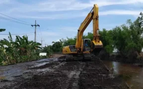 2 unit eksavator dikerahkan UPT PSDA WS Welang–Pekalen untuk mempercepat normalisasi Sungai Pandanlaras di Kecamatan Krejengan, Probolinggo.