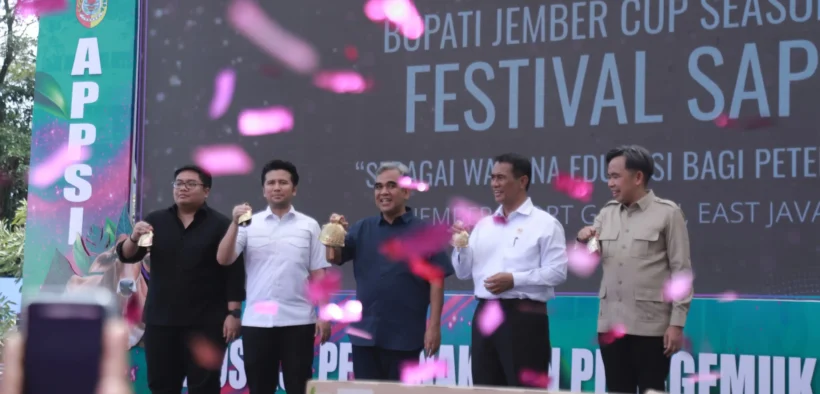 Festival Sapi bertajuk “Bupati Jember Cup Season 2” digelar selama dua hari di Jember Sport Garden, sejak Sabtu (1/11/2025)