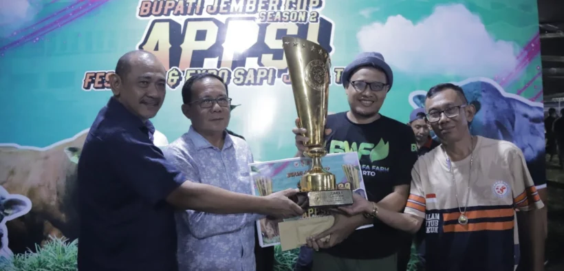 Gelaran Festival Sapi Jember mencetak sejarah baru setelah sapi Sapu Jagat milik Faisal dari Mojokerto berhasil memecahkan rekor nasional