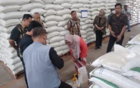 DKPPP Cek Kualitas Beras Bantuan di Probolinggo
