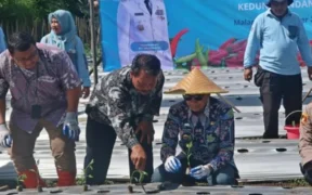 Pemkot Malang Gelar gerakan penanaman 3.000 bibit cabai di wilayah Kedungkandang, Jumat (7/11/2025), Guna Tekan Inflasi Jelang Akhir Tahun