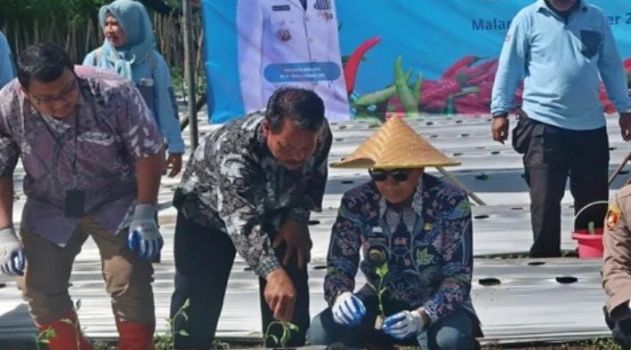 Pemkot Malang Gelar gerakan penanaman 3.000 bibit cabai di wilayah Kedungkandang, Jumat (7/11/2025), Guna Tekan Inflasi Jelang Akhir Tahun