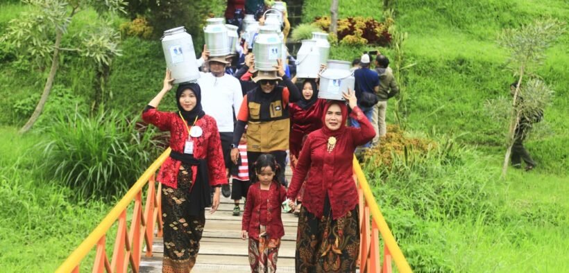 Festival Nyunggi Susu