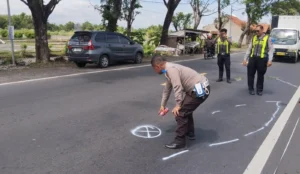 Adu Banteng di Pantura Dringu, 1 Tewas dan 1 Luka Serius