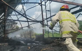 Sebuah kandang ayam tiga lantai di Desa Klampokan, Kecamatan Besuk, Kabupaten Probolinggo, terbakar dilalap si jago merah pada Kamis (20/11)