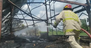 Ribuan Ayam Matang! Kandang Ayam Tiga Lantai di Besuk Ludes Terbakar,