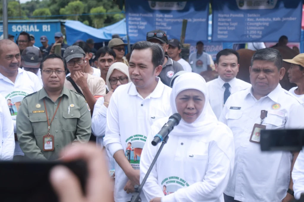 Gerakan Serentak Pelayanan Inseminasi Buatan (IB) 2025 yang dipusatkan di City Forest Jember, Senin (24/11/2025).
