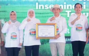 Pemprov Jatim memecahkan Rekor MURI lewat 1,09 juta inseminasi buatan. Gubernur Khofifah optimistis bisa swasembada daging pada 2029.