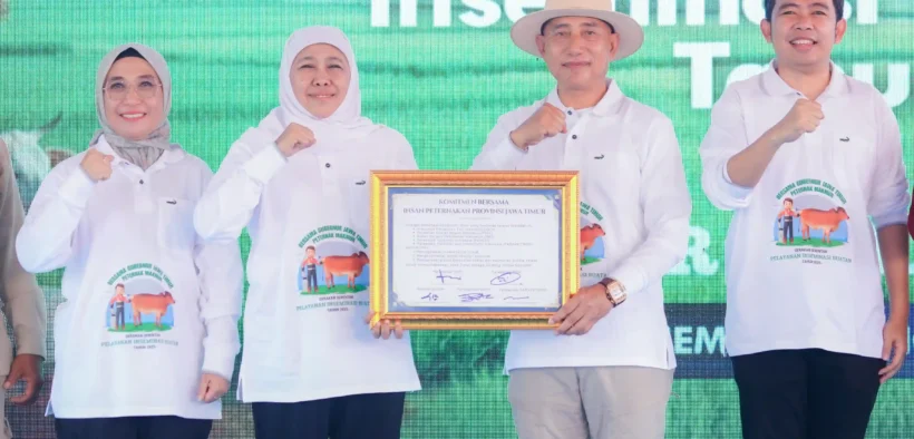 Pemprov Jatim memecahkan Rekor MURI lewat 1,09 juta inseminasi buatan. Gubernur Khofifah optimistis bisa swasembada daging pada 2029.