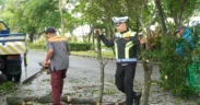 Satlantas Polres Malang lakukan aksi pencegahan kecelakaan dengan memangkas ranting pohon di sepanjang Jalan Jalibar, Kepanjen