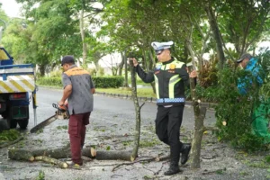 Polres Malang Pangkas Ranting Pohon di Jalibar
