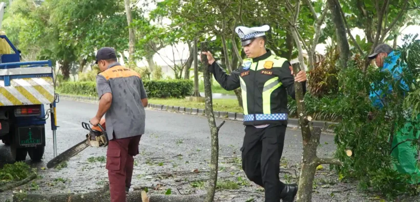 Satlantas Polres Malang lakukan aksi pencegahan kecelakaan dengan memangkas ranting pohon di sepanjang Jalan Jalibar, Kepanjen