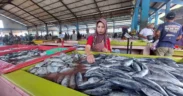Pedagang ikan di TPI Mayangan menata dagangan di tengah kenaikan harga akibat nelayan tak melaut.