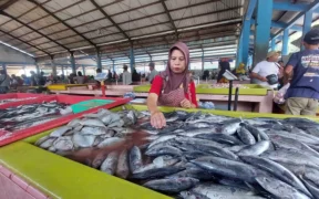 Pedagang ikan di TPI Mayangan menata dagangan di tengah kenaikan harga akibat nelayan tak melaut.