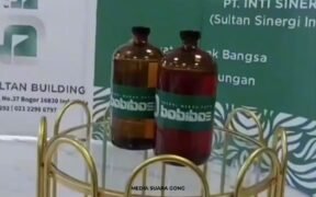 Bobibos jerami jadi BBM alternatif