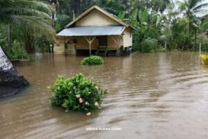 Air Naik Cepat Aceh Utara Kembali Terendam