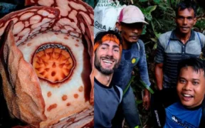 Penemuan bunga langka Rafflesia hasseltii di Sijunjung, Sumatera Barat, memantik perdebatan panas di dunia maya.
