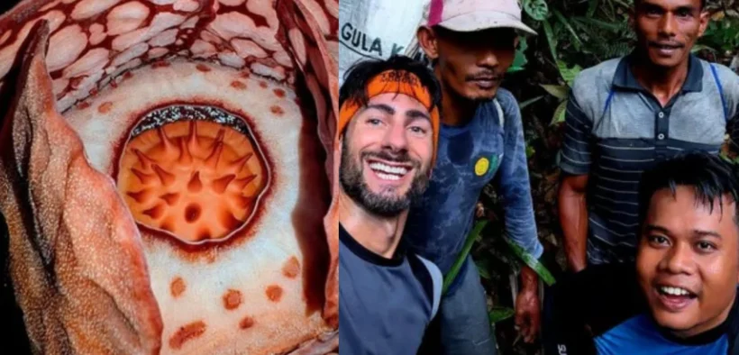 Penemuan bunga langka Rafflesia hasseltii di Sijunjung, Sumatera Barat, memantik perdebatan panas di dunia maya.