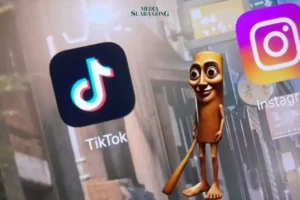 Studi Ungkapkan: Video Pendek Sosmed Bikin Otak Brainrot?
