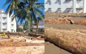 Publik kembali digegerkan dengan beredarnya video batang pohon yang bernomor tertentu terseret banjir bandang di Aceh