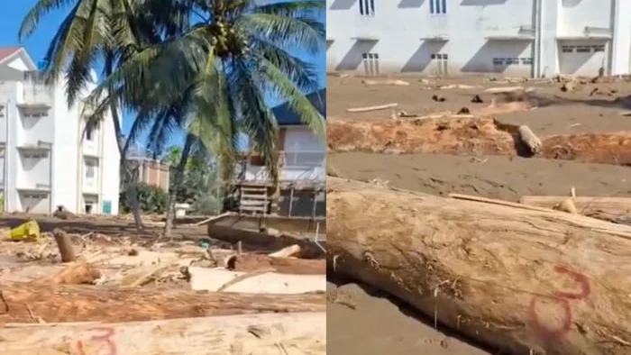 Publik kembali digegerkan dengan beredarnya video batang pohon yang bernomor tertentu terseret banjir bandang di Aceh