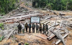 Kementerian Kehutanan (Kemenhut) mencabut 22 izin perusahaan pemegang Persetujuan Penggunaan Kawasan Hutan (PPKH)