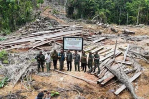Kemenhut Cabut 22 Izin dan Proses Hukum Penebangan Hutan Ilegal