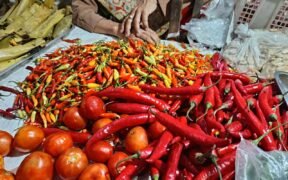 Harga cabai di sejumlah pasar tradisional di Kota Malang kembali melonjak dalam dua hari terakhir hingga Rp 75 Ribu