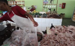 Harga Daging Ayam Naik Hingga Rp37 Ribu per Kilogram