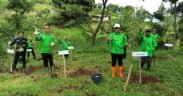 DPC PKB Kota Batu menggelar Gerakan Nusantara Menanam dengan menanam 500 pohon di TPA Tlekung Kota Batu, Minggu (21/12/2025).