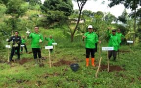 DPC PKB Kota Batu menggelar Gerakan Nusantara Menanam dengan menanam 500 pohon di TPA Tlekung Kota Batu, Minggu (21/12/2025).