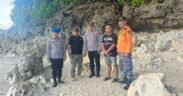 Sebuah video yang memperlihatkan kemunculan seekor buaya di kawasan Pantai Watu Leter, Kabupaten Malan Viral