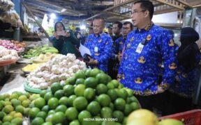 pemantauan harga bahan pokok