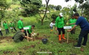 Gerakan Nusantara Menanam PKB
