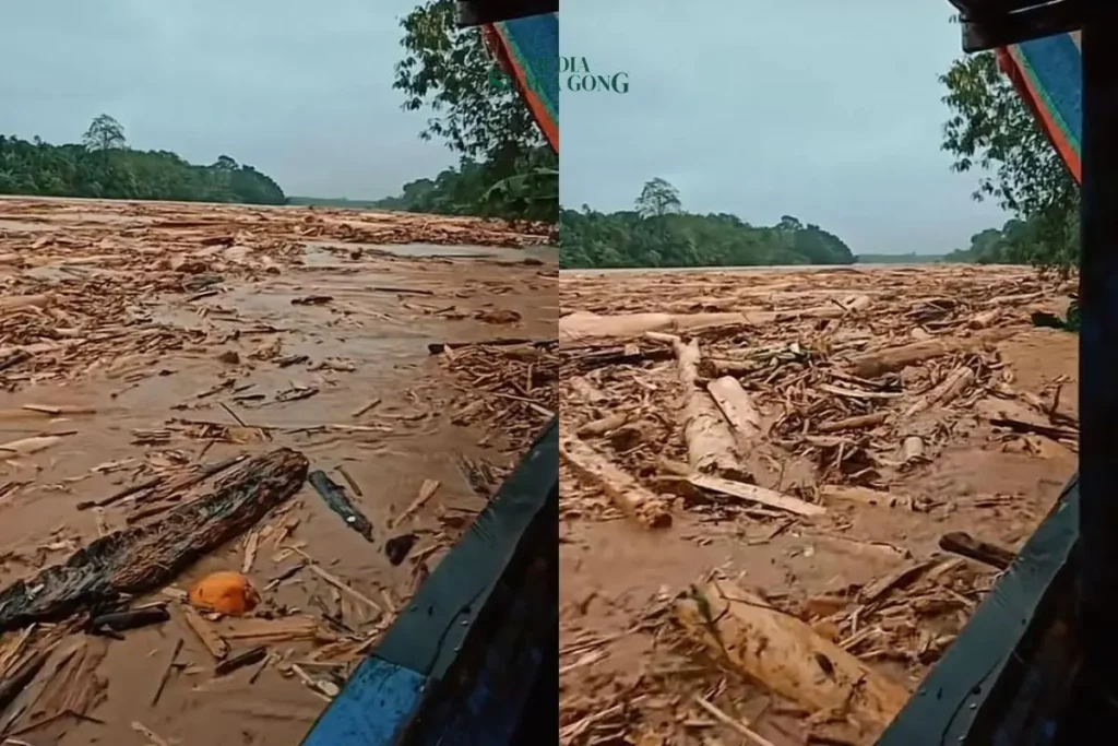 Menhut Sebut Ada 12 Perusahaan Diduga Jadi Penyebab Banjir Sumut