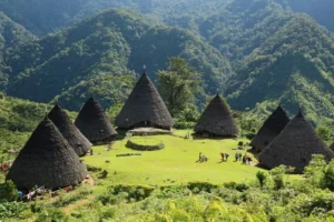 Rumah Adat Todo: Warisan Agung dari Tanah Manggarai