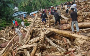 Bareskrim Selidiki Dugaan Penebangan Liar Pemicu Banjir di Sungai Tamiang Aceh