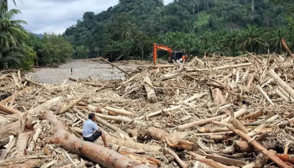 Bareskrim Polri Buka Penyelidikan Pembalakan Liar di Sumatera/Tribrata News Polri