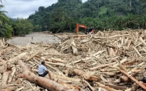 Bareskrim Polri Buka Penyelidikan Pembalakan Liar di Sumatera/Tribrata News Polri