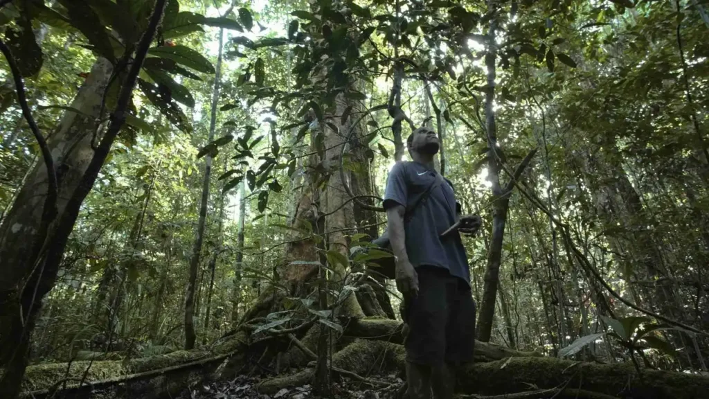 Sawit di Papua Harus Dapat Lampu Hijau Masyarakat Adat